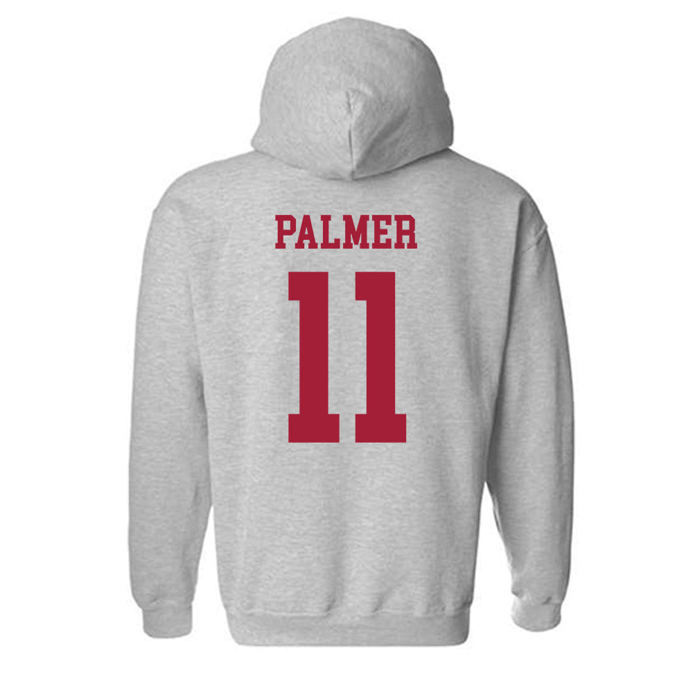 Alabama - NCAA Women's Volleyball : Kaleigh Palmer - Generic Shersey Hooded Sweatshirt