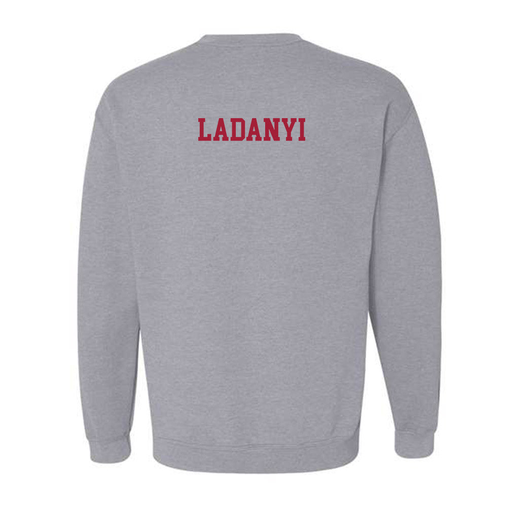 Alabama - NCAA Women's Gymnastics : Gabby Ladanyi - Crewneck Sweatshirt