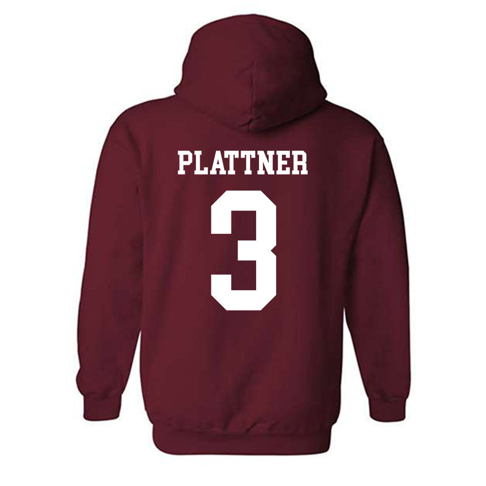 Alabama - NCAA Baseball : Will Plattner - Classic Shersey Hooded Sweatshirt-1