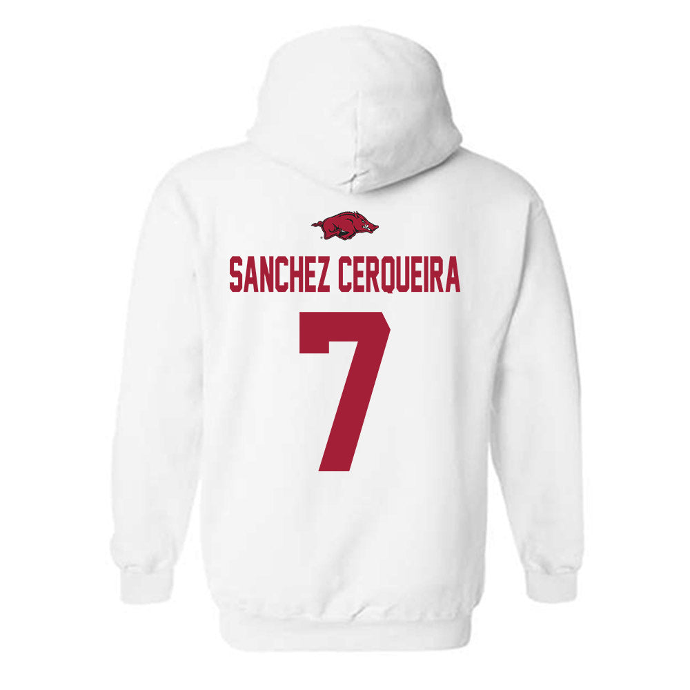 Arkansas - NCAA Women's Basketball : Cristina Sanchez Cerqueira - Classic Shersey Hooded Sweatshirt-1