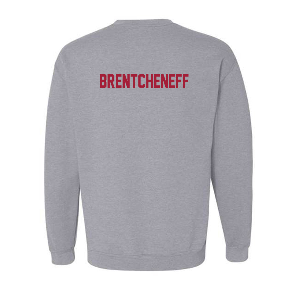 Arkansas - NCAA Women's Golf : Sara Brentcheneff - Crewneck Sweatshirt-1