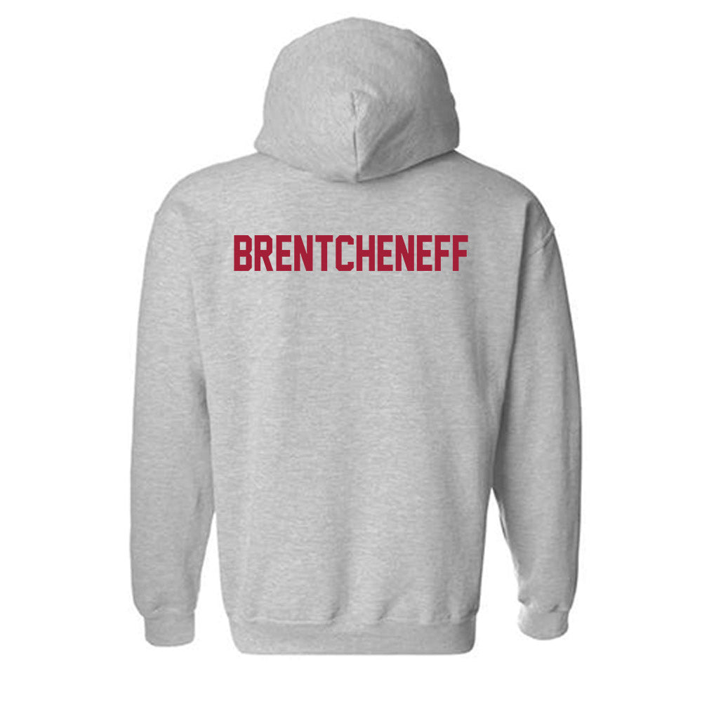 Arkansas - NCAA Women's Golf : Sara Brentcheneff - Hooded Sweatshirt-1