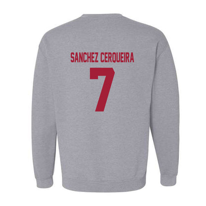 Arkansas - NCAA Women's Basketball : Cristina Sanchez Cerqueira - Crewneck Sweatshirt-1