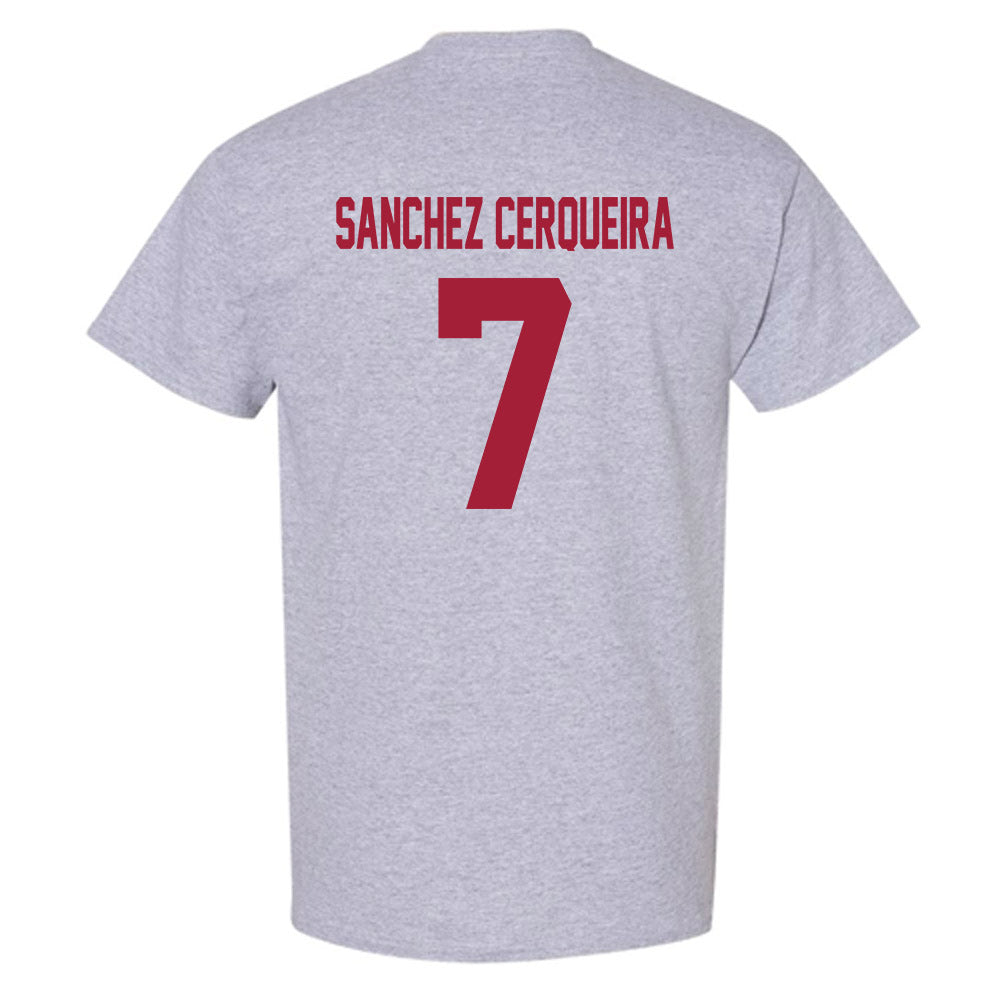 Arkansas - NCAA Women's Basketball : Cristina Sanchez Cerqueira - T-Shirt-1