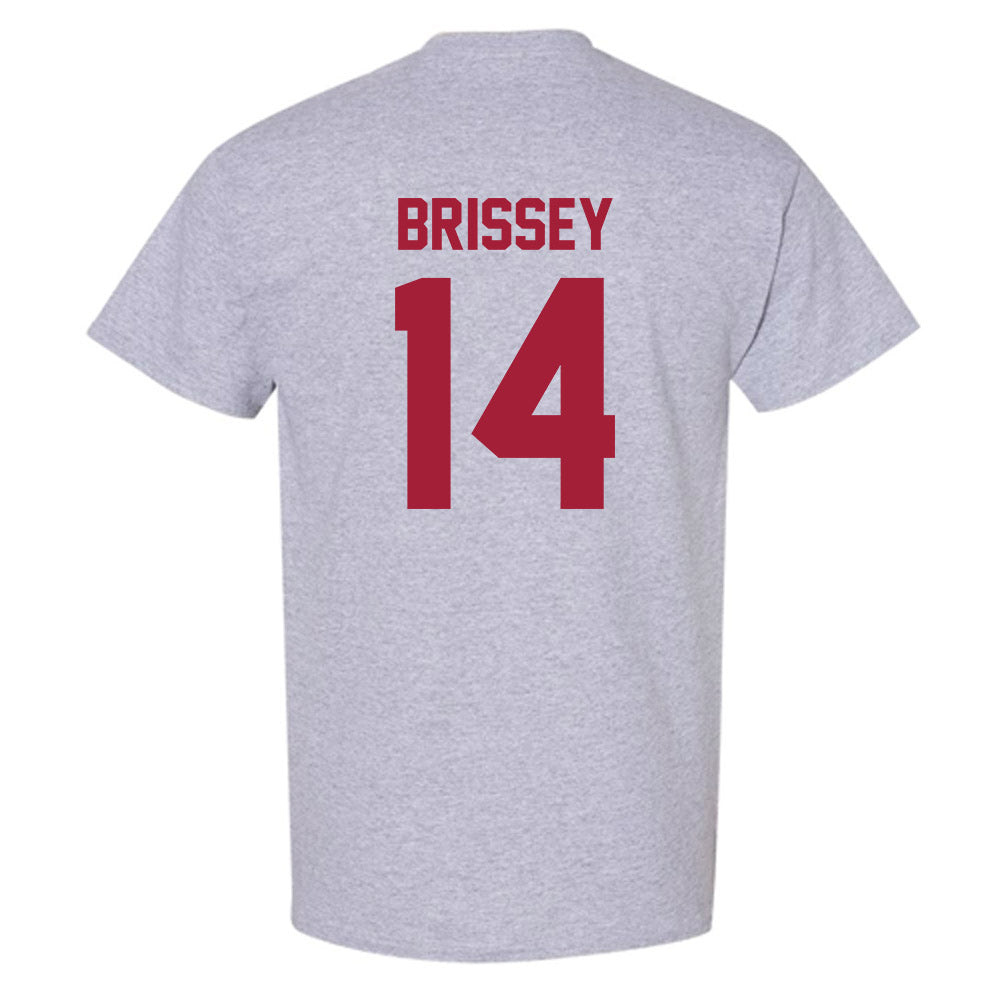 Arkansas - NCAA Baseball : Mark Brissey - T-Shirt-1