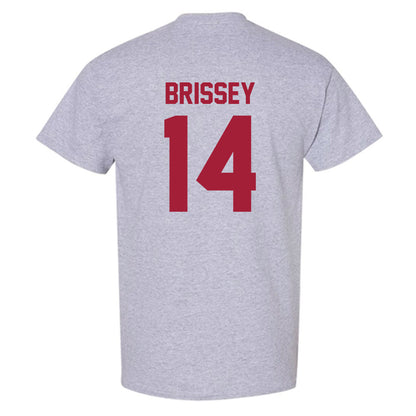 Arkansas - NCAA Baseball : Mark Brissey - T-Shirt-1