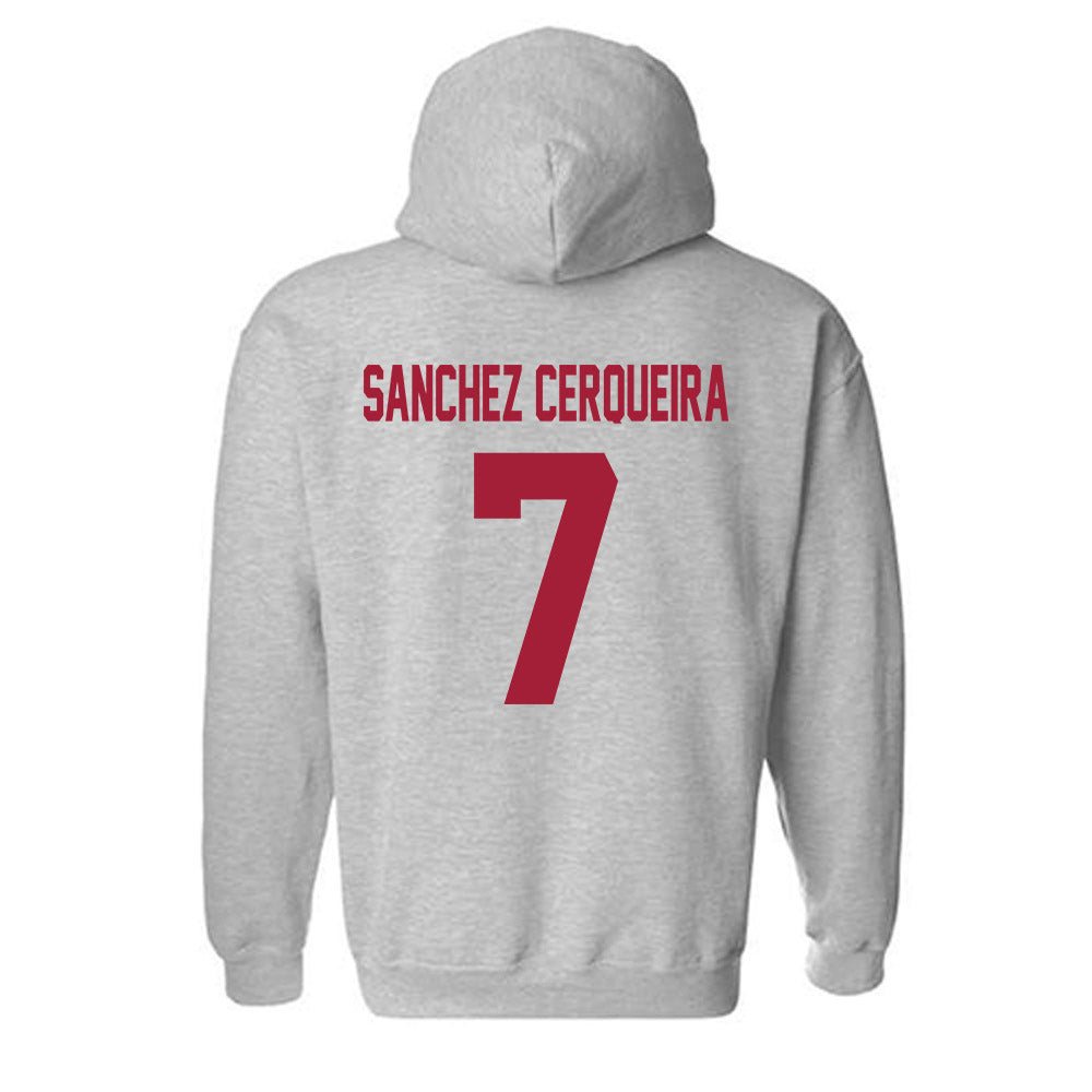 Arkansas - NCAA Women's Basketball : Cristina Sanchez Cerqueira - Hooded Sweatshirt-1