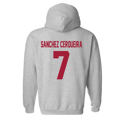 Arkansas - NCAA Women's Basketball : Cristina Sanchez Cerqueira - Hooded Sweatshirt-1