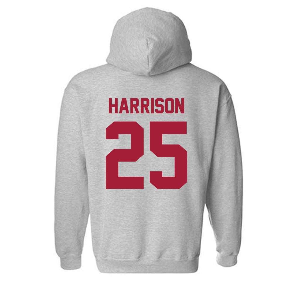 Arkansas - NCAA Softball : Cameryn Harrison - Hooded Sweatshirt-1