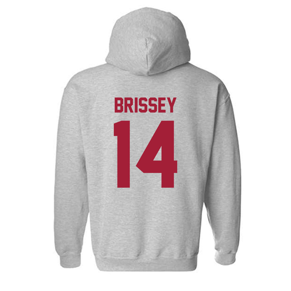 Arkansas - NCAA Baseball : Mark Brissey - Hooded Sweatshirt-1