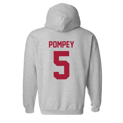 Arkansas - NCAA Baseball : TJ Pompey - Hooded Sweatshirt-1