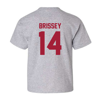Arkansas - NCAA Baseball : Mark Brissey - Youth T-Shirt-1