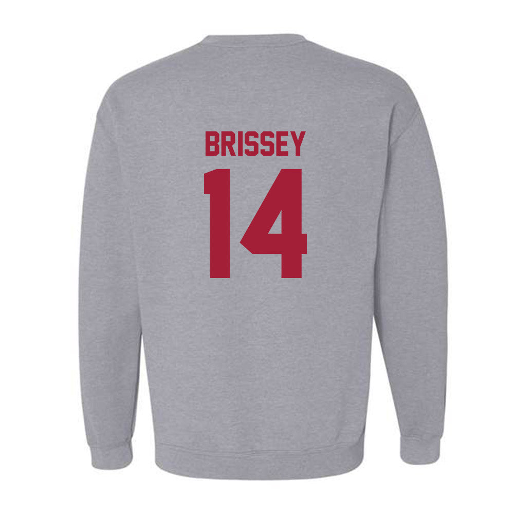 Arkansas - NCAA Baseball : Mark Brissey - Crewneck Sweatshirt-1