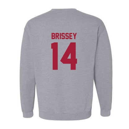 Arkansas - NCAA Baseball : Mark Brissey - Crewneck Sweatshirt-1