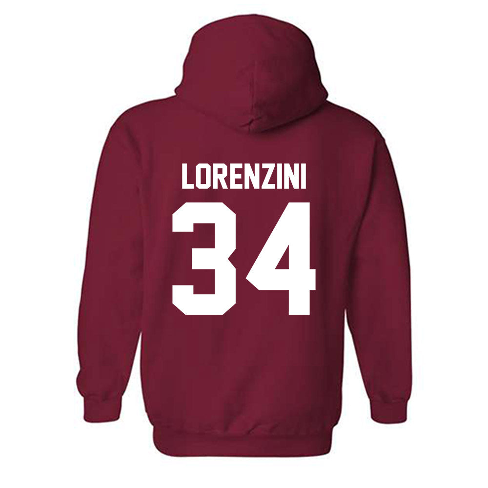 Arkansas - NCAA Baseball : Joey Lorenzini - Classic Shersey Hooded Sweatshirt-1