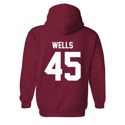 Arkansas - NCAA Softball : Jayden Wells - Classic Shersey Hooded Sweatshirt
