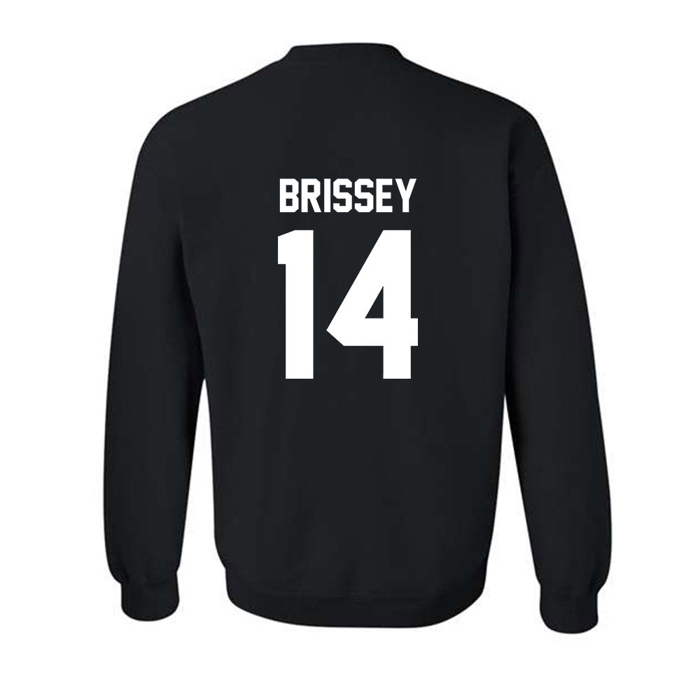 Arkansas - NCAA Baseball : Mark Brissey - Generic Shersey Crewneck Sweatshirt-1
