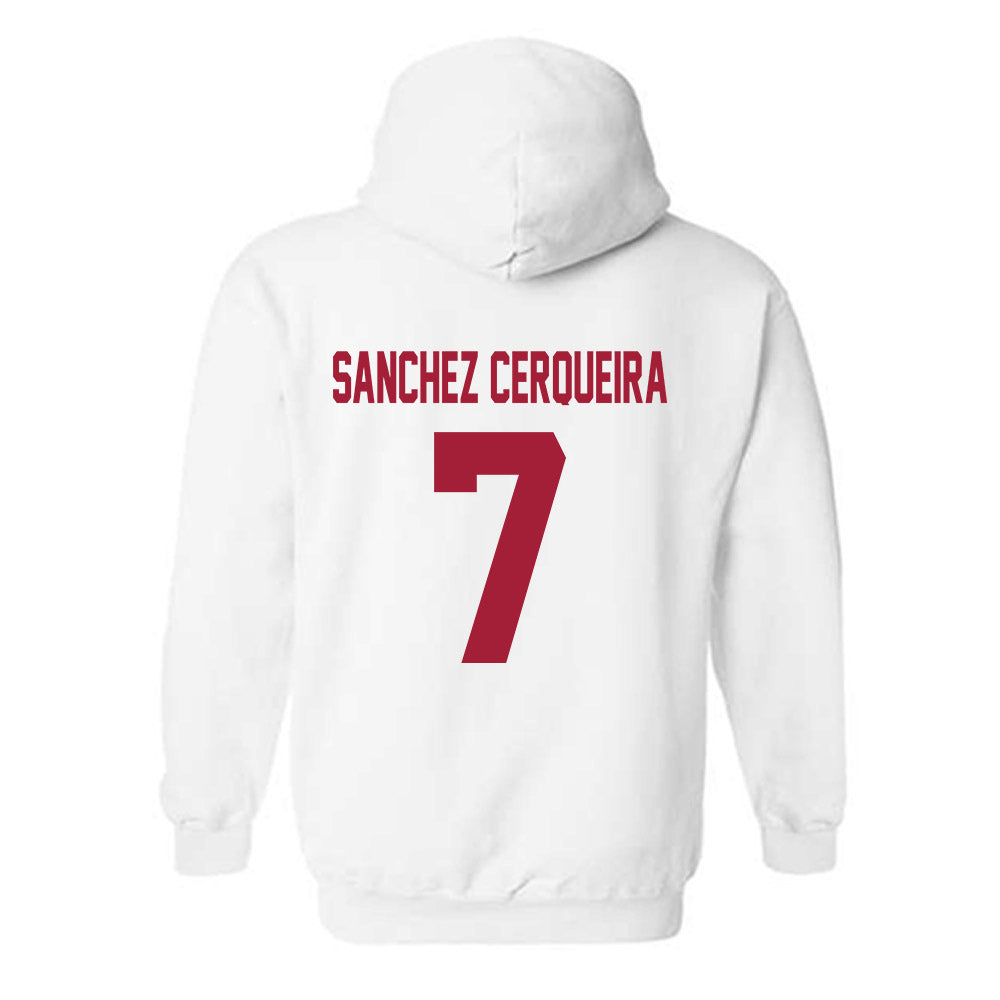 Arkansas - NCAA Women's Basketball : Cristina Sanchez Cerqueira - Generic Shersey Hooded Sweatshirt-1