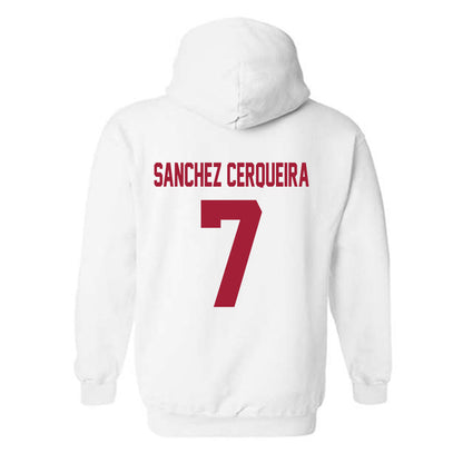 Arkansas - NCAA Women's Basketball : Cristina Sanchez Cerqueira - Generic Shersey Hooded Sweatshirt-1