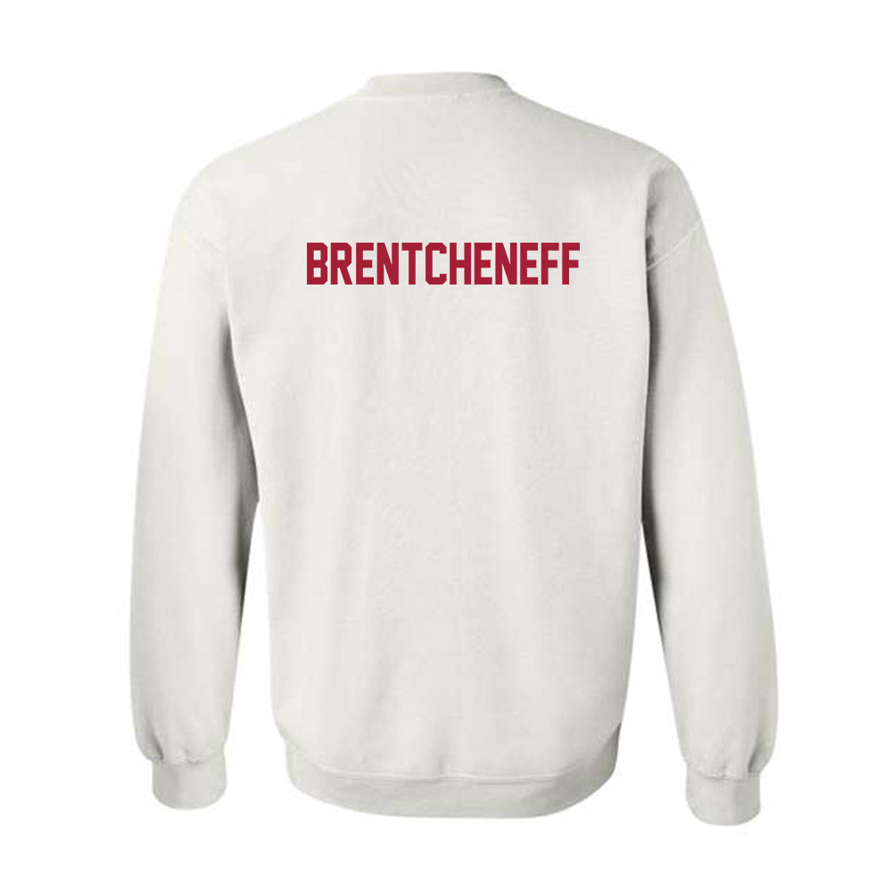 Arkansas - NCAA Women's Golf : Sara Brentcheneff - Generic Shersey Crewneck Sweatshirt-1