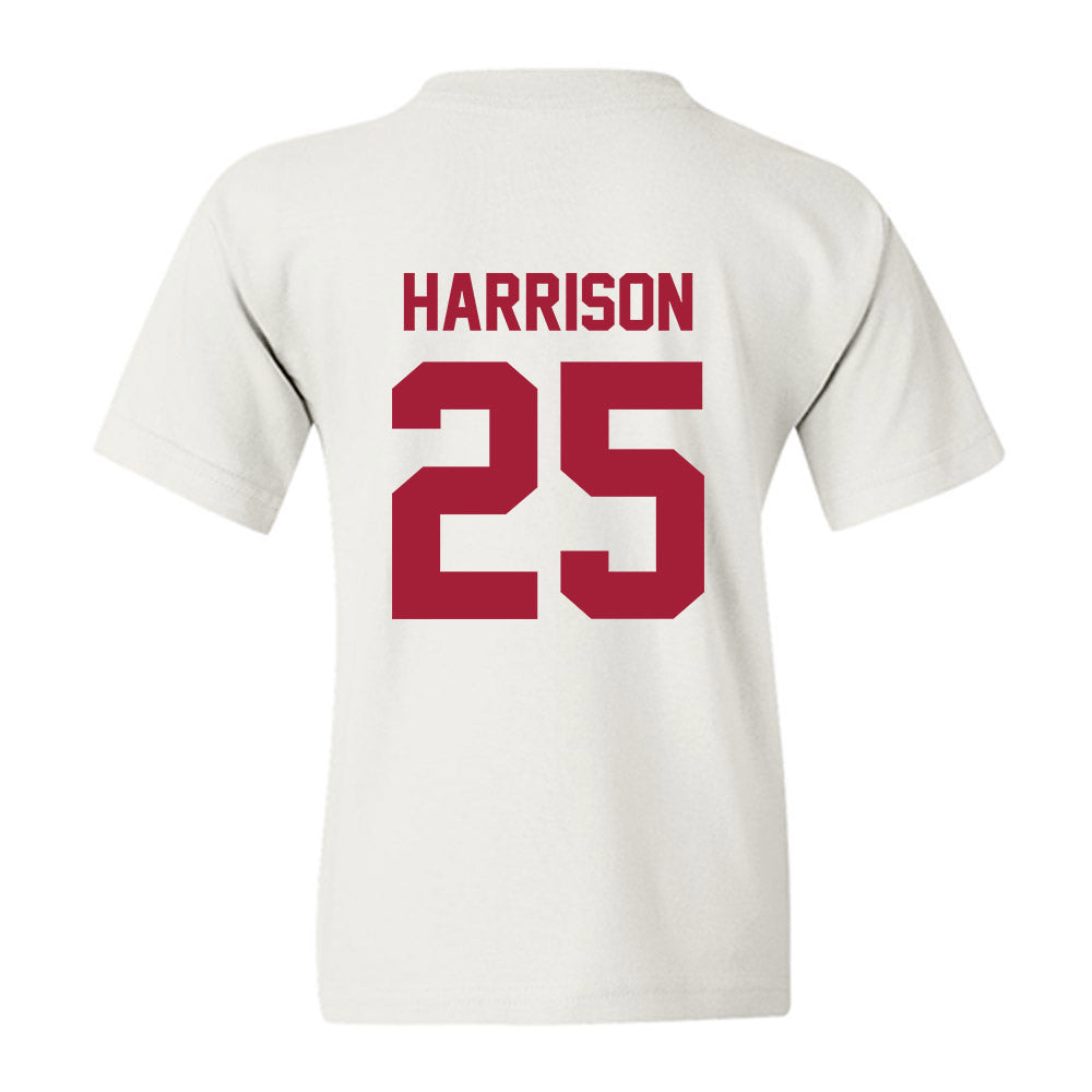 Arkansas - NCAA Softball : Cameryn Harrison - Generic Shersey Youth T-Shirt-1