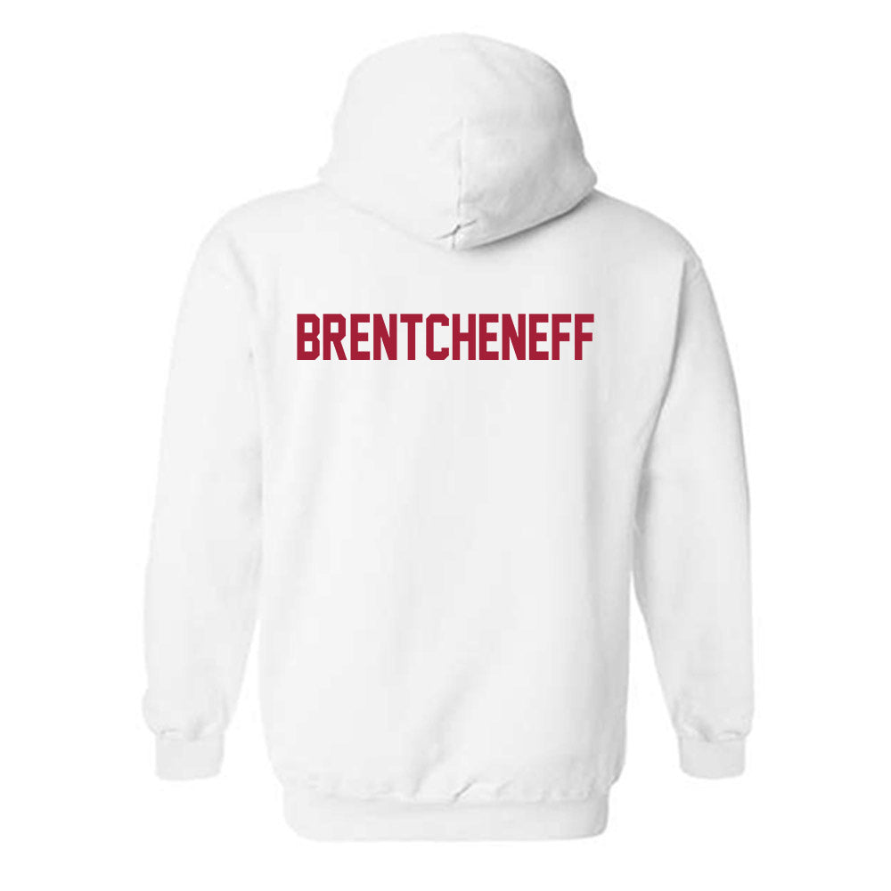 Arkansas - NCAA Women's Golf : Sara Brentcheneff - Generic Shersey Hooded Sweatshirt-1