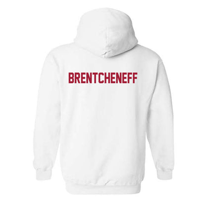 Arkansas - NCAA Women's Golf : Sara Brentcheneff - Generic Shersey Hooded Sweatshirt-1
