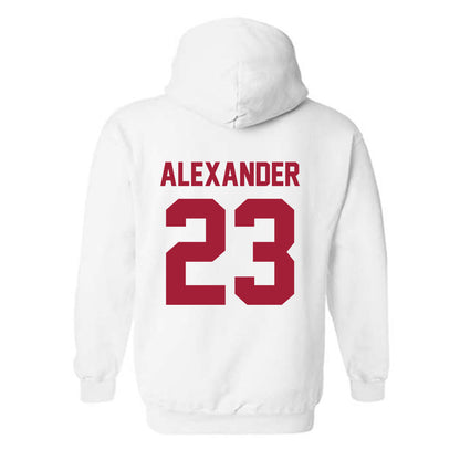 Arkansas - NCAA Women's Volleyball : Aleki Alexander - Generic Shersey Hooded Sweatshirt