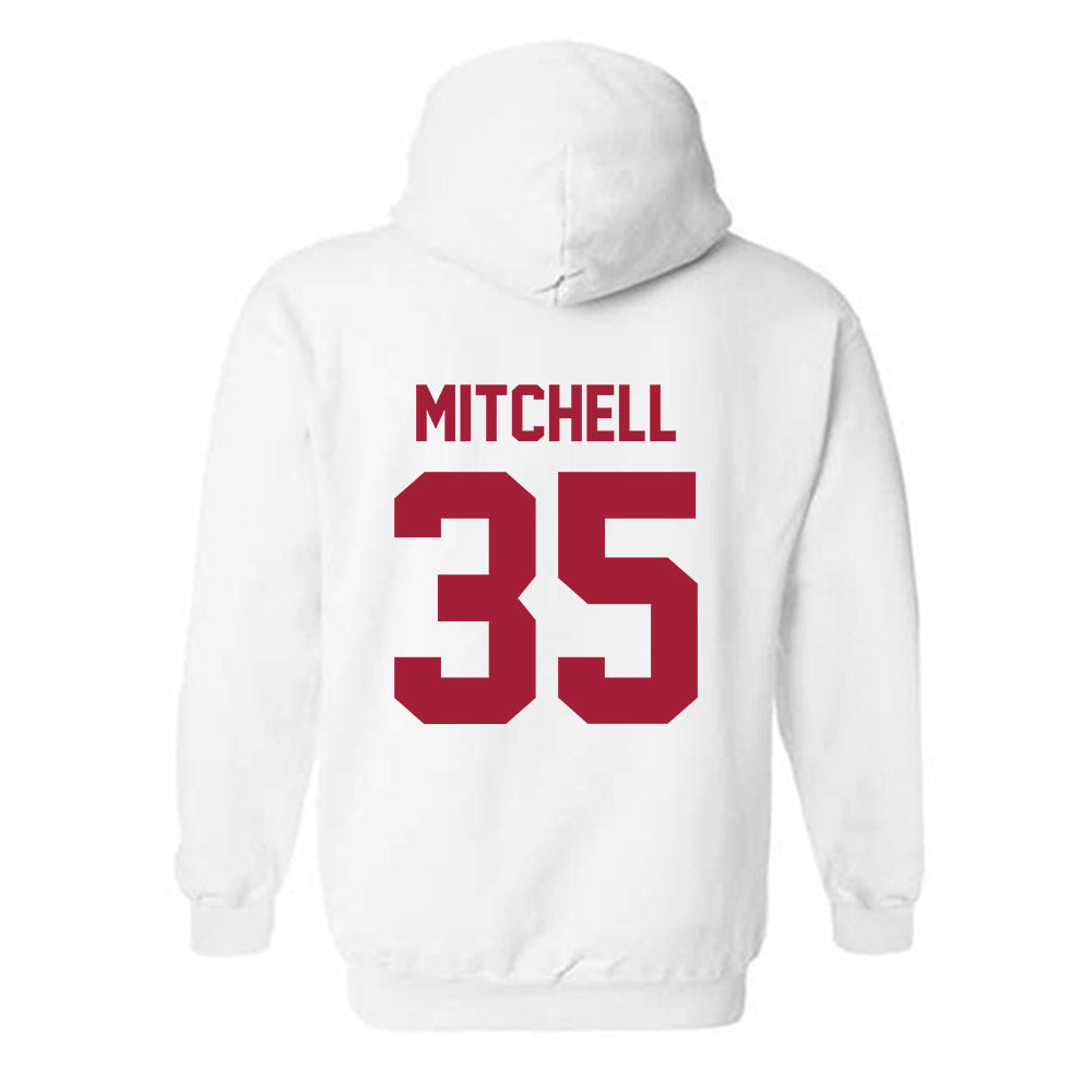 Arkansas - NCAA Baseball : Cayden Mitchell - Generic Shersey Hooded Sweatshirt-1