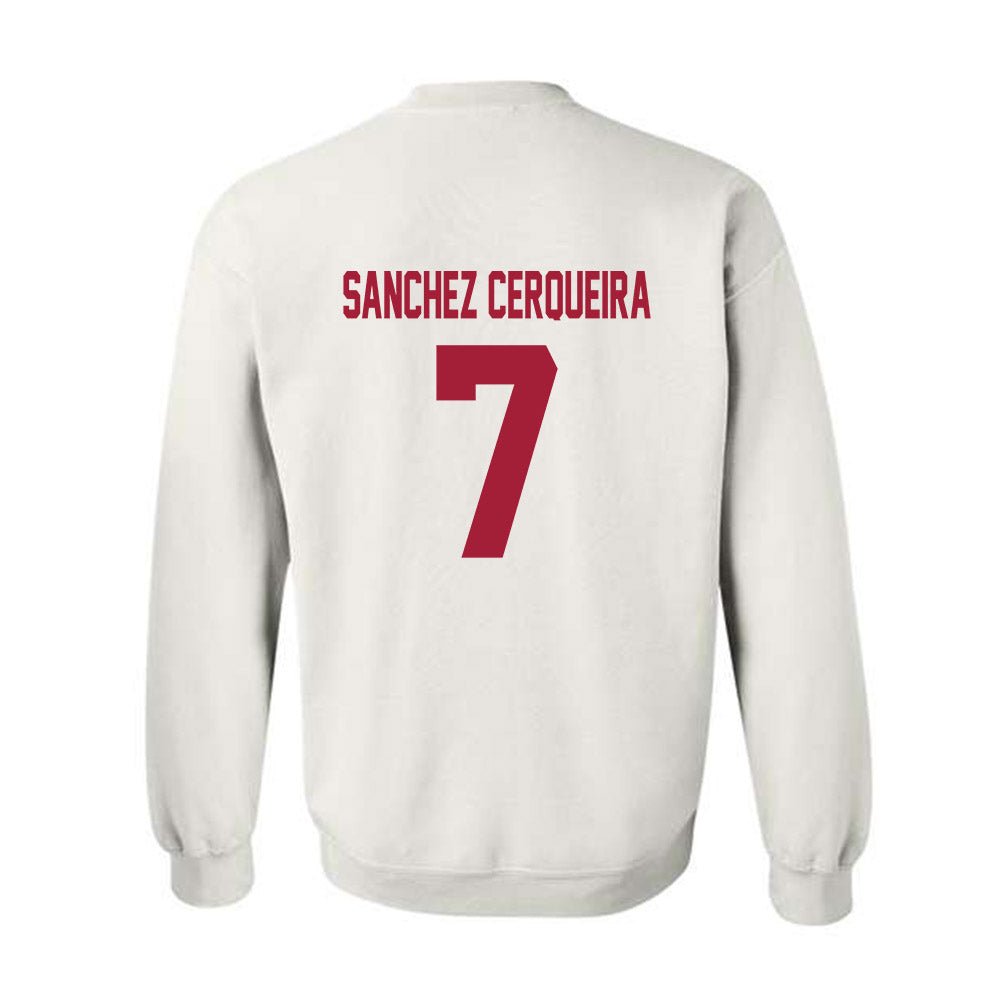 Arkansas - NCAA Women's Basketball : Cristina Sanchez Cerqueira - Generic Shersey Crewneck Sweatshirt-1