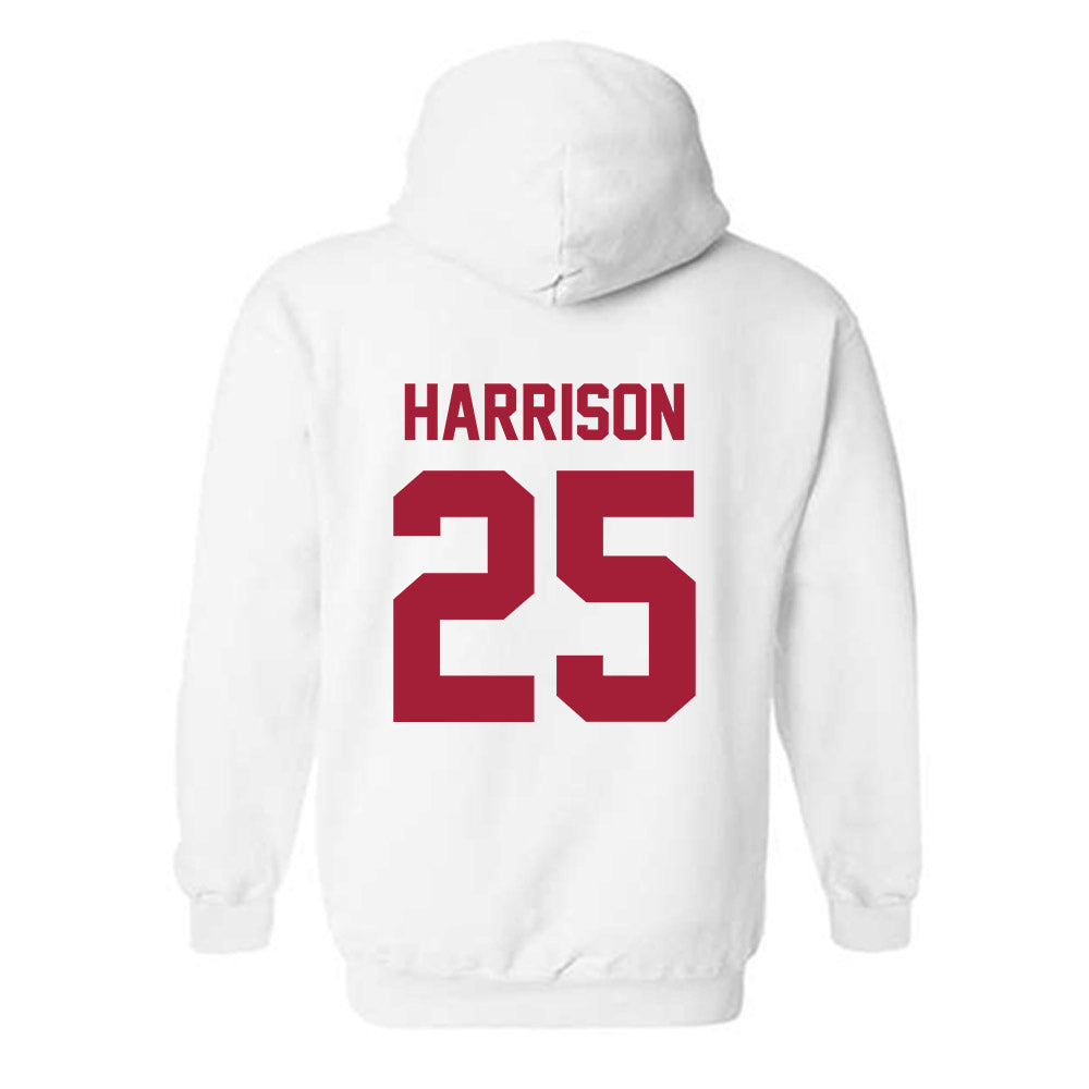 Arkansas - NCAA Softball : Cameryn Harrison - Generic Shersey Hooded Sweatshirt-1