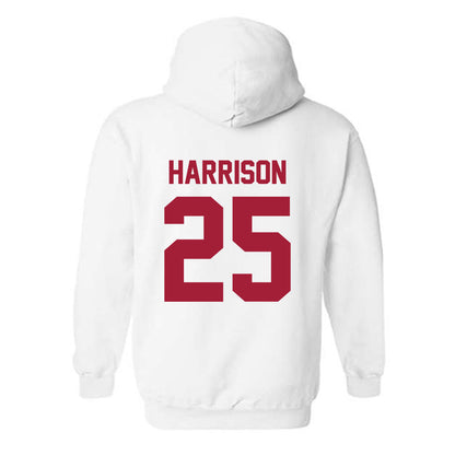 Arkansas - NCAA Softball : Cameryn Harrison - Generic Shersey Hooded Sweatshirt-1