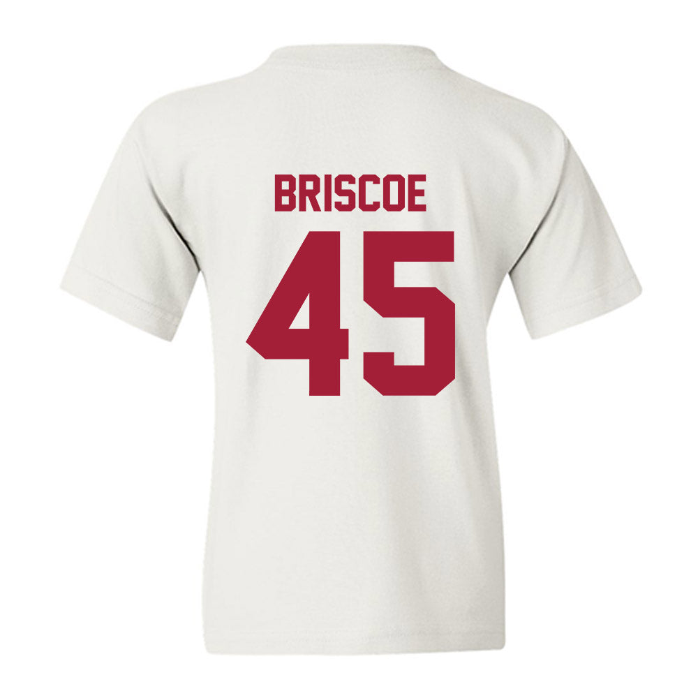 Arkansas - NCAA Baseball : Tye Briscoe - Generic Shersey Youth T-Shirt-1