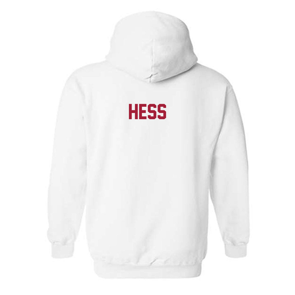 Arkansas - NCAA Women's Gymnastics : Tori Hess - Generic Shersey Hooded Sweatshirt-1