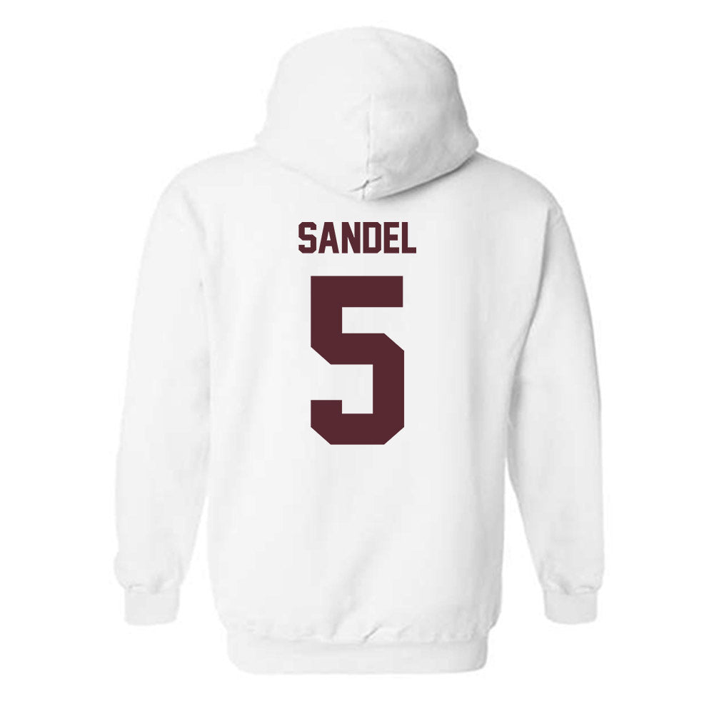 Texas State - NCAA Softball : Sophie Sandel - Hooded Sweatshirt-1