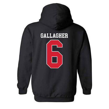 Fairfield - NCAA Men's Lacrosse : Brendan Gallagher - Classic Shersey Hooded Sweatshirt-1