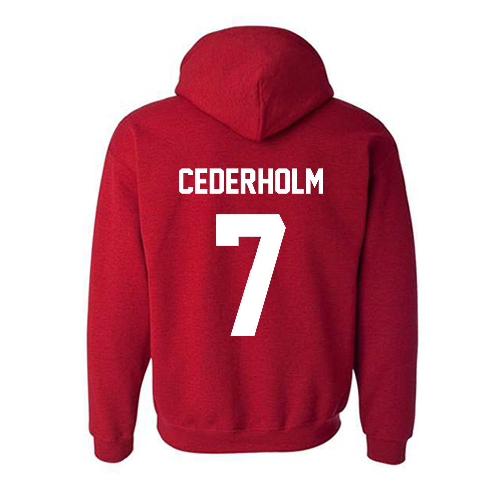 Arkansas State - NCAA Women's Soccer : Tindra Cederholm - Hooded Sweatshirt