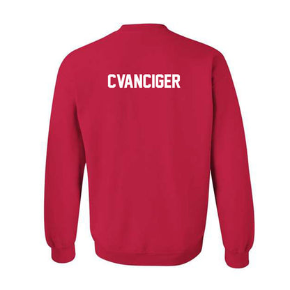 Arkansas State - NCAA Women's Tennis : Lilly Cvanciger - Classic Shersey Crewneck Sweatshirt-2