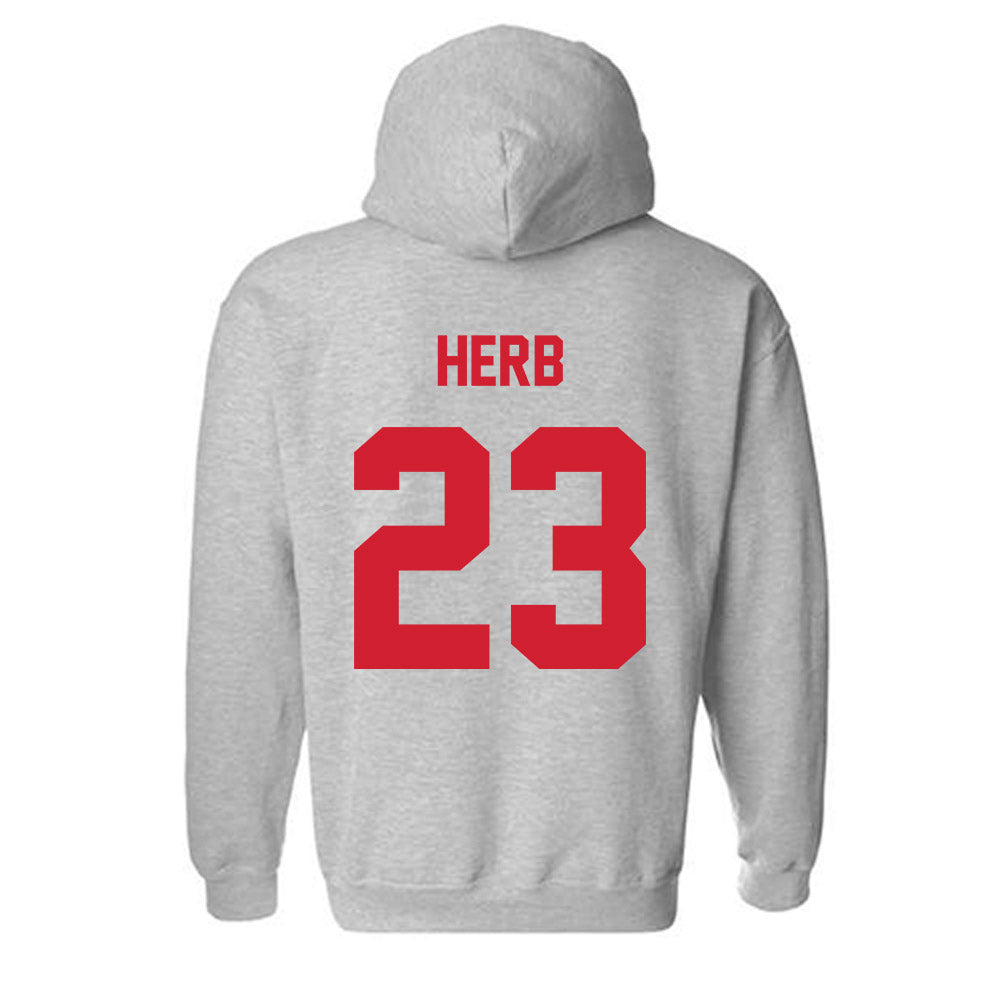 Arkansas State - NCAA Baseball : Tyler Herb - Classic Shersey Hooded Sweatshirt-1