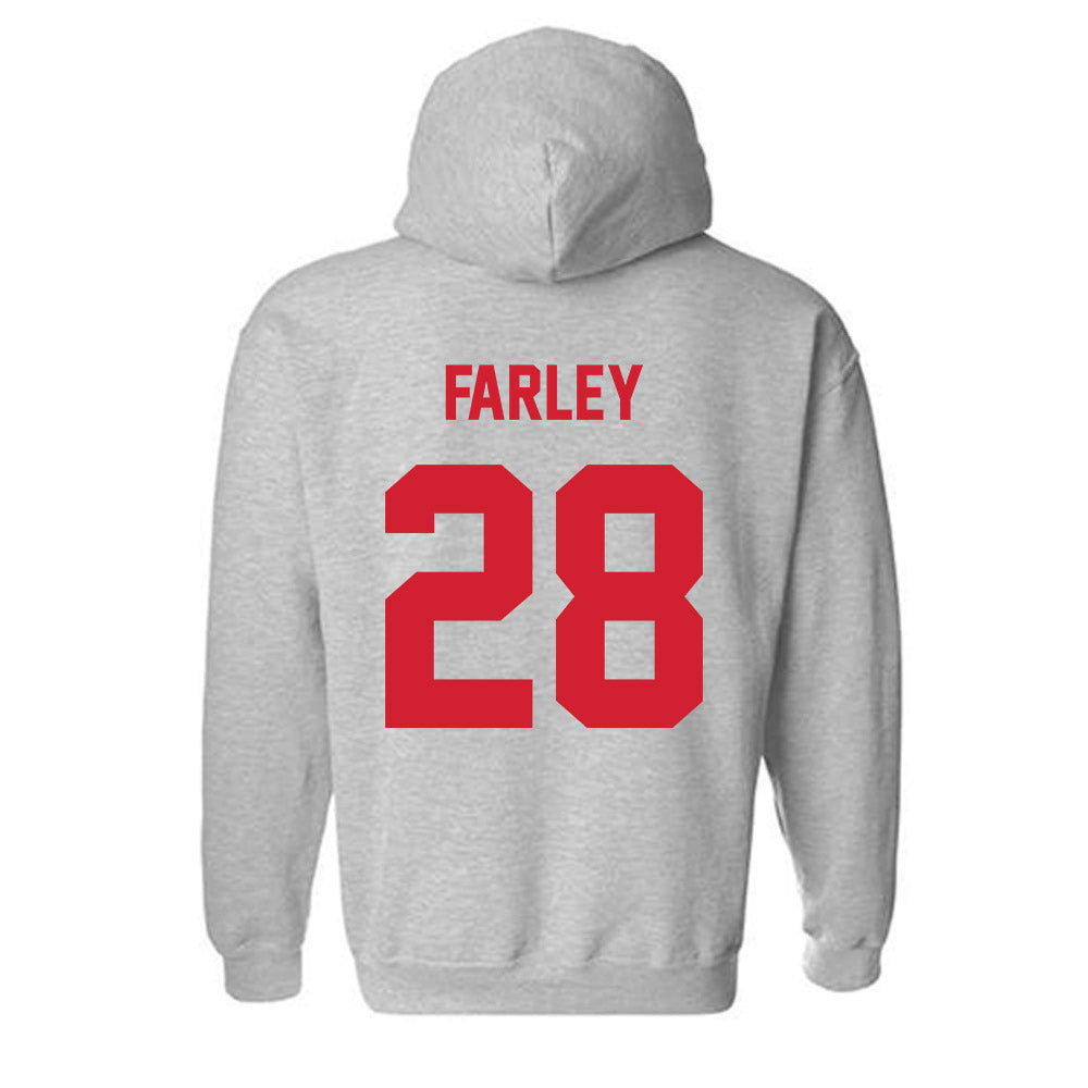 Arkansas State - NCAA Baseball : Dylan Farley - Classic Shersey Hooded Sweatshirt-1