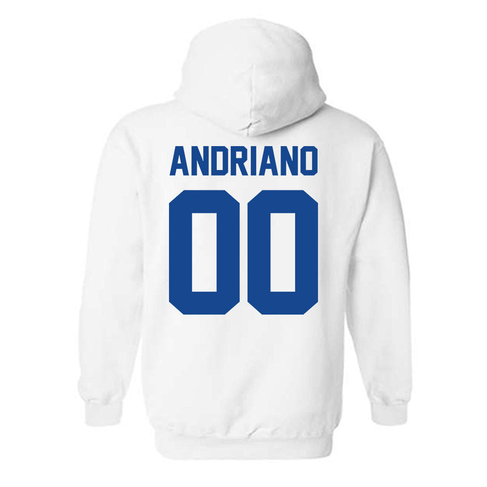 Grand Valley - NCAA Football : Mattia Andriano - Classic Shersey Hooded Sweatshirt-1