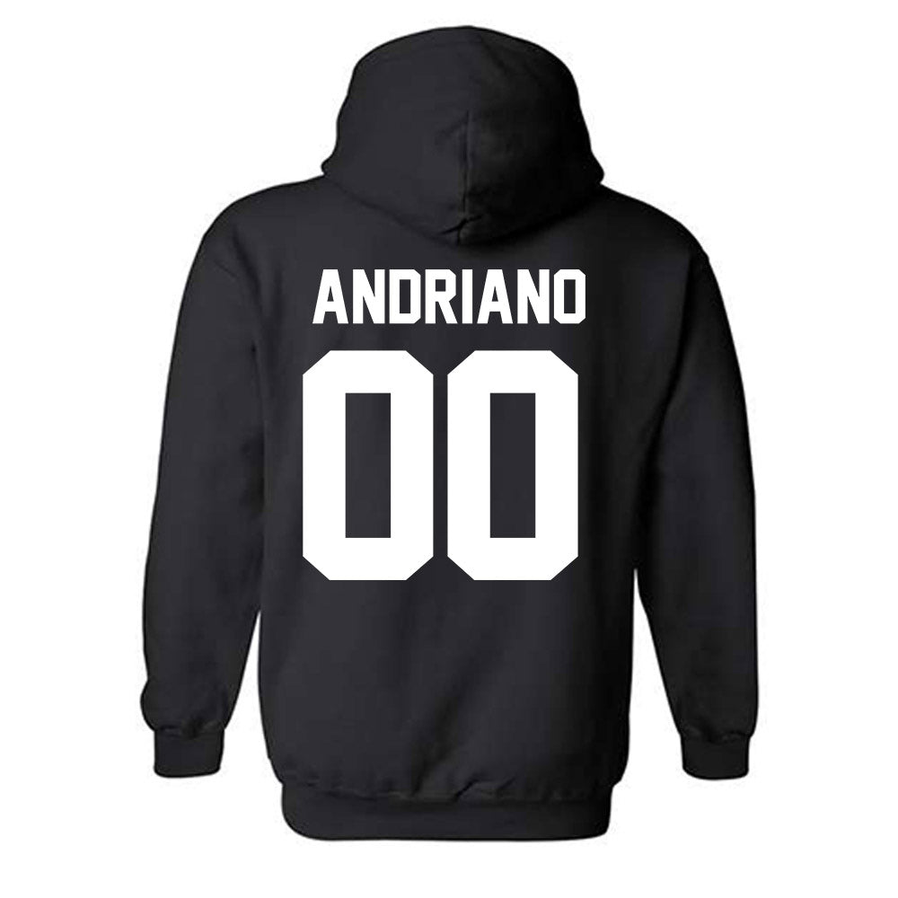 Grand Valley - NCAA Football : Mattia Andriano - Classic Shersey Hooded Sweatshirt-1