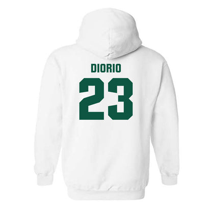 William & Mary - NCAA Men's Soccer : Michael DiOrio - Hooded Sweatshirt-1
