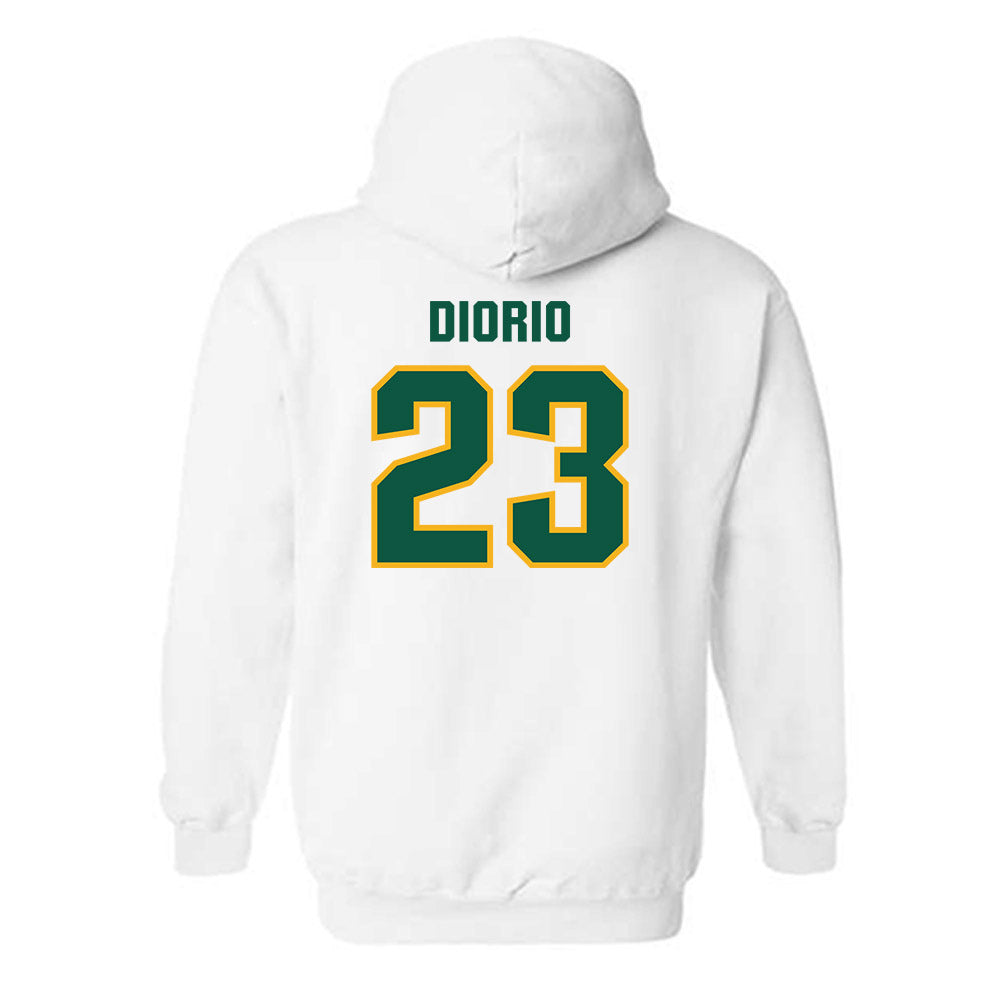 William & Mary - NCAA Men's Soccer : Michael DiOrio - Hooded Sweatshirt-1