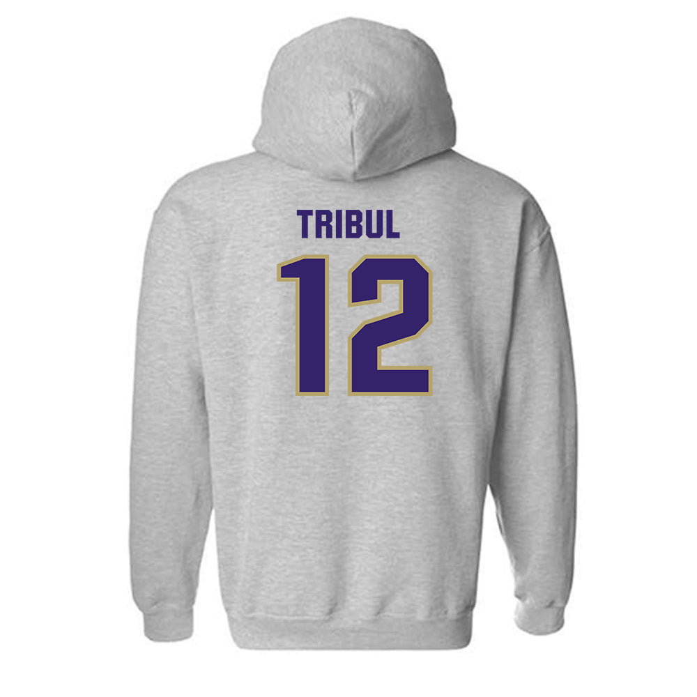 JMU - NCAA Softball : Mia Tribul - Classic Shersey Hooded Sweatshirt-1