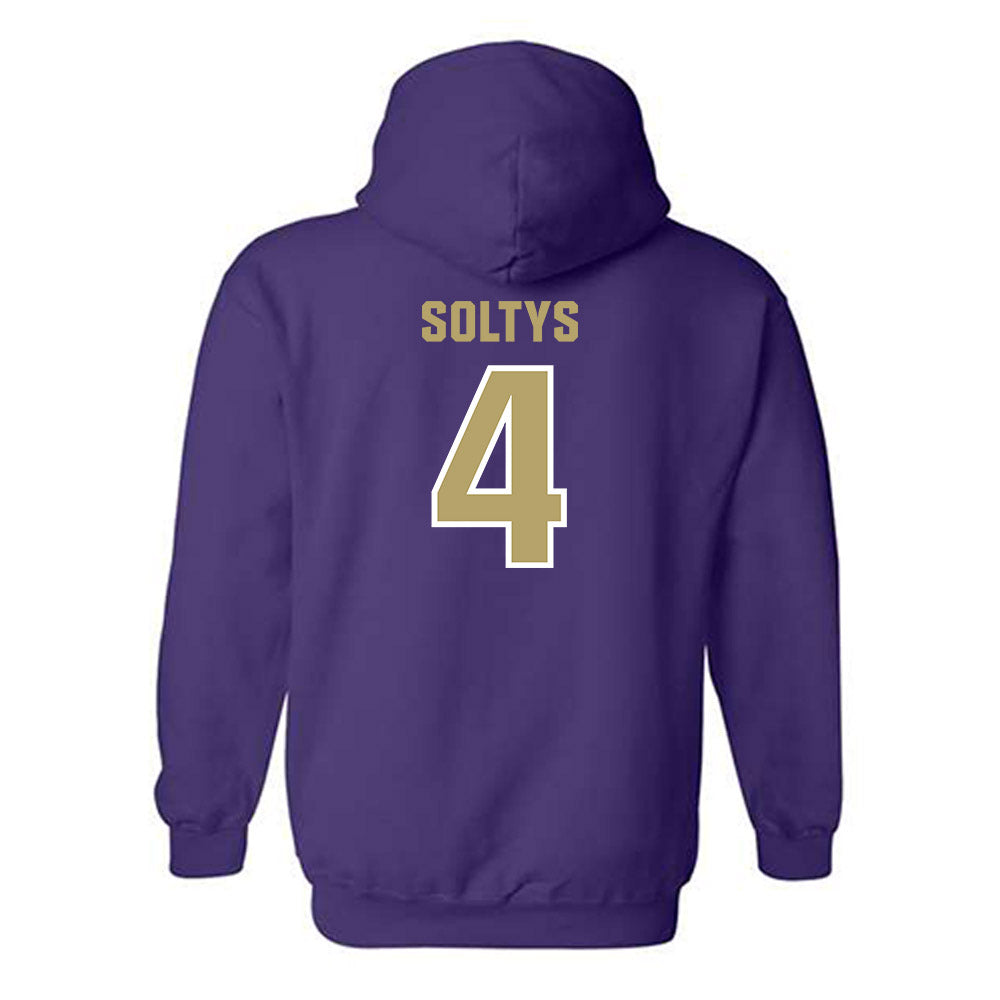 JMU - NCAA Women's Basketball : Delilah Soltys - Classic Shersey Hooded Sweatshirt-1