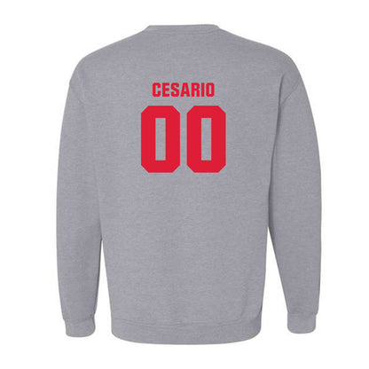 Lamar - NCAA Softball : Bri Cesario - Classic Shersey Crewneck Sweatshirt-1