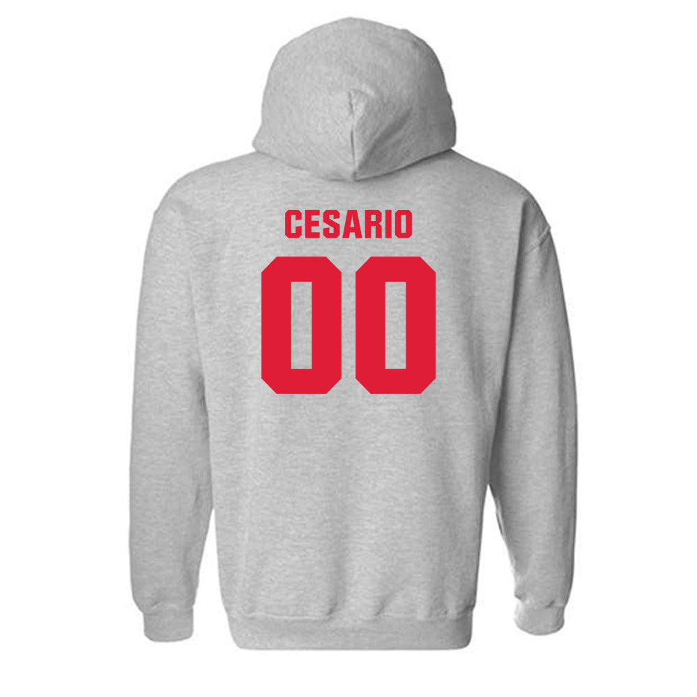 Lamar - NCAA Softball : Bri Cesario - Classic Shersey Hooded Sweatshirt-1
