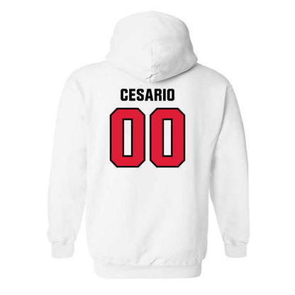 Lamar - NCAA Softball : Bri Cesario - Classic Shersey Hooded Sweatshirt-1