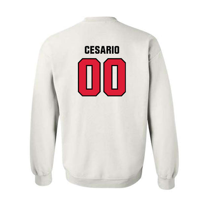 Lamar - NCAA Softball : Bri Cesario - Classic Shersey Crewneck Sweatshirt-1